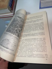 现代和古代湖泊沉积物（首页有字迹）