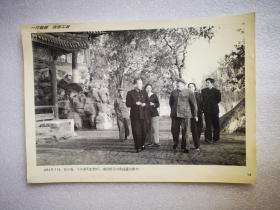 老照片：1953年5月，刘少奇、王光美和彭德怀、浦安修在中南海瀛台散步谈心