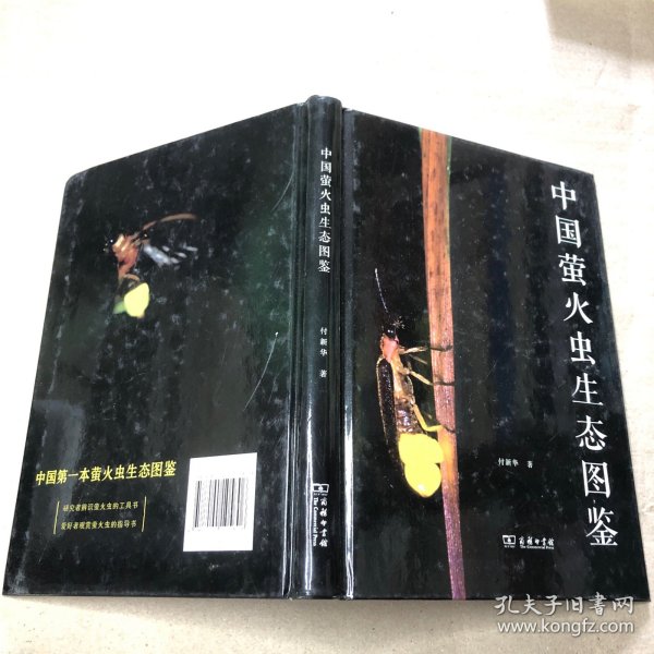 中国萤火虫生态图鉴