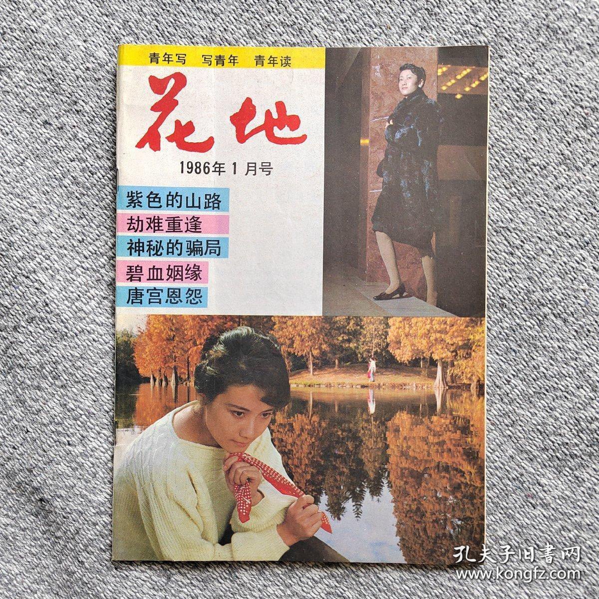 苏华 80年代出版