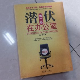 潜伏在办公室：第二季