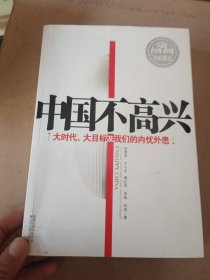 中国不高兴：大时代大目标及我们的内忧外患