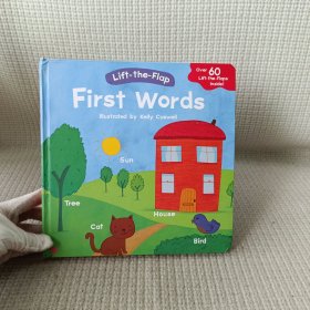 英文原版Lift-the Flap ：First Words