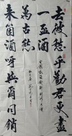 苑文光，男，出生年月1948年2月，原籍:山东掖县，天津生人。1969年以前天津在学.1969年下乡内蒙古土右旗插队，1971年选调包头五七师范，大专学历。1974年调入包头市第九中学，中教高级，主教历史科，兼任书法教师。自学成才各体书法均有涉猎，主攻草书在历次大赛中屡获金奖。北京市林都书画研究院 常务理事，北京大学书画艺术研究院 客座教授。