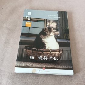 Lens·目客004·猫：懒得理你：我们爱猫的自由，和它几乎忘恩负义的性格……