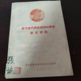 学习党内两条路线斗争史参考资料