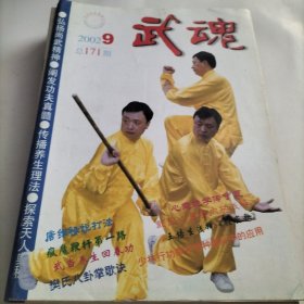 武魂，中华武术，太极拳，武术搏击，中国功夫，武林，名拳，疯魔鞭杆，太极十三势，传统形意拳八字功，武术推手，意拳推手，太极推手，练功，大成拳技击桩功法，套路与实战，戳脚翻子，唐传形意拳，拳法，樊氏八卦掌，张三丰，原式太极拳，武派太极拳，中国武术百科全书，洪洞通背拳，古传武技，船拳，武林人物，绝学，戴氏心意拳，内功，拳种，少林行功拳，搏击，踢打技术，拳史钩沉，传武，形意拳大师，养生，武当养生回春功，武