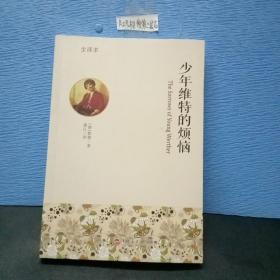 少年维特的烦恼（全译本）