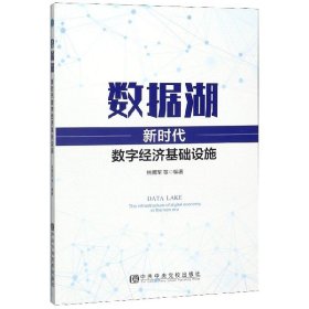 数据湖：新时代数字经济基础设施