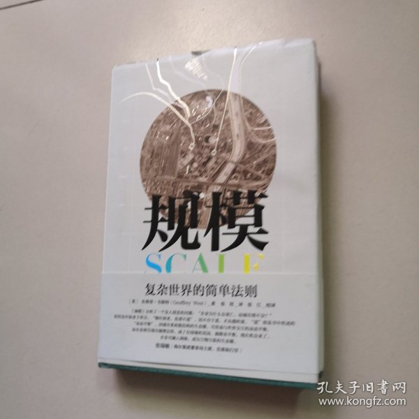 规模：复杂世界的简单法则