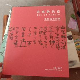 未来的天空