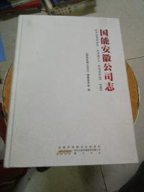 国能安徽公司志（精装）