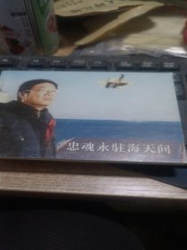 忠魂永驻海天间