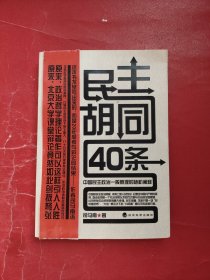 民主胡同40条：中国民主政治一般原理的随机阐释