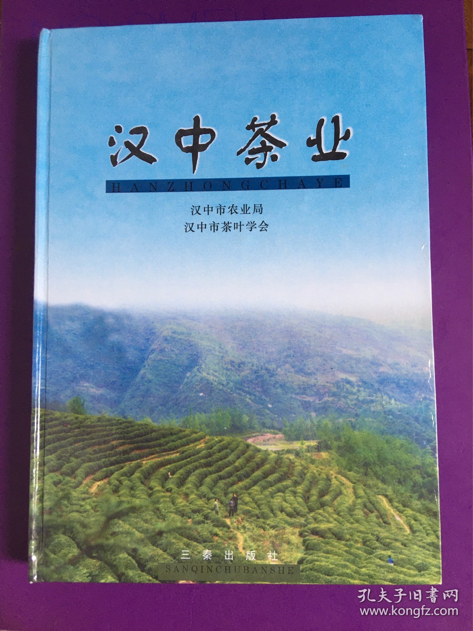 汉中茶业 一版一印