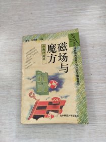 磁场与魔方：当代诗歌潮流回顾·写作艺术借鉴丛书（新潮诗论卷）