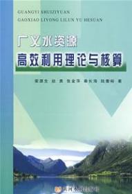 广义水资源高效利用理论与核算