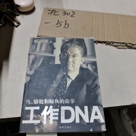 工作DNA