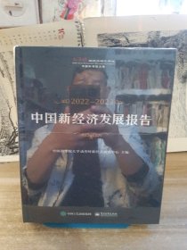 中国新经济发展报告2022-2023