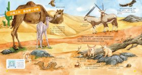 儿童科学启蒙馆·动物王国 136种有趣的动物 简洁有趣的插图，启发引导式的语言