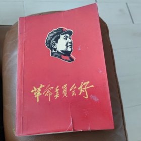 革命委员会好z5