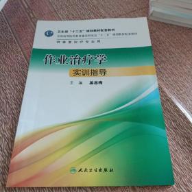 作业治疗学实训指导/卫生部“十二五”规划教材配套教材