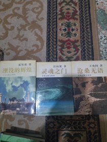 文化大散文系列：沧桑无语，灵魂之门，湮没的辉煌（三册合售）