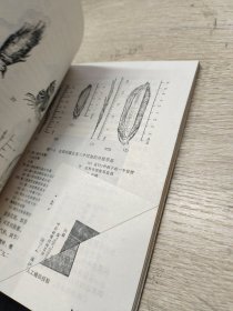 杂交水稻简明教程