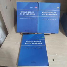 财经违纪违规违法行为审计定性与处理处罚指南（上 、中、下）