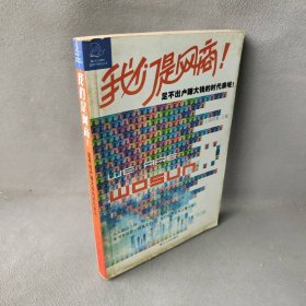 我们是网商：足不出户赚大钱的时代来啦——蓝狮子财经丛书上海伟雅