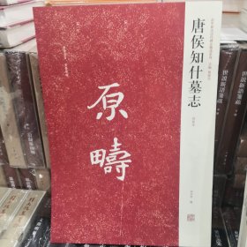 唐侯知什墓志：近代新出历代墓志