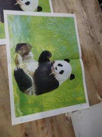 熊猫挂图