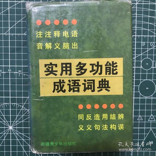 实用多功能成语词典