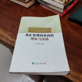 外汇管理内审内控理论与实践