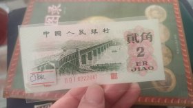 凸版2角豹子身早期冠号221