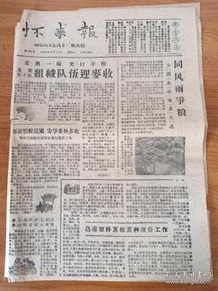 《怀来报》1959年6月13日 第165期，河北省怀来县沙城东堡27号。组织队伍迎麦收。同风雨争粮。报道东园、涿鹿、花园、金家口、董家房、张家堡等社。涿鹿师范组织应届毕业生参观实习。四开四版。有图片、漫画等。