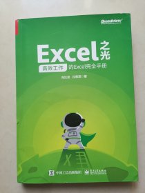 Excel之光：高效工作的Excel完全手册