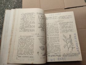 全国中草药汇编（上册）