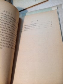 中国画家丛书