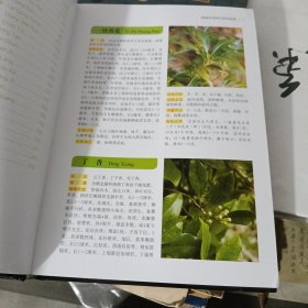 精编本草纲目（原色图谱）精装本