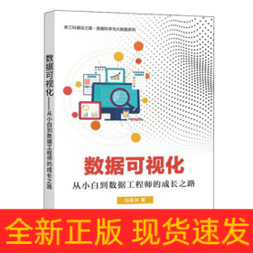 数据可视化――从小白到数据工程师的成长之路