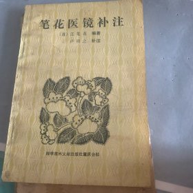 笔花医镜补注