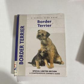 英文原版 Border Terrier