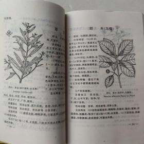 常用中草药图解手册