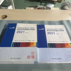 中国临床肿瘤学会（CSCO）常见恶性肿瘤诊疗指南2021（下册）