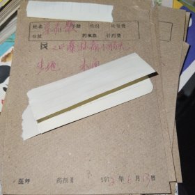 药方5