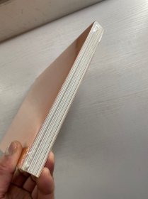 九思的画 美术家个案研究丛书(正版·全新未拆封)