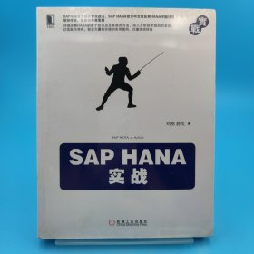 SAP HANA实战