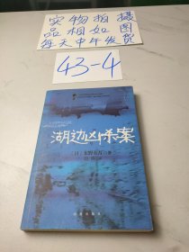 湖边凶杀案