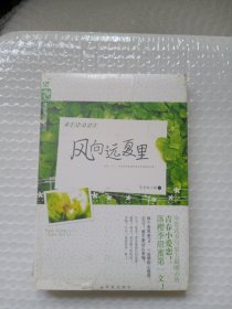 风向远夏里